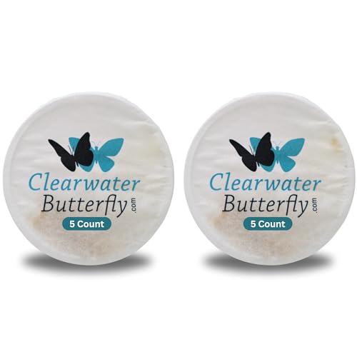 Clearwater Butterfly Live Painted Lady Butterflies - 10 Live Caterpillars - Live Caterpillars to Butterflies - Caterpillars for Butterfly Kit - Mesh Cage Not Included - Live Butterfly Kit - 10 Count