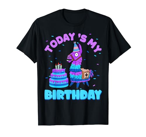 Todays My Birthday Llama Boy Family Party Decorations T-Shirt