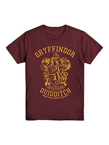 Harry Potter Gryffindor Quidditch Team Boys Youth T-Shirt (MD, Burgundy)