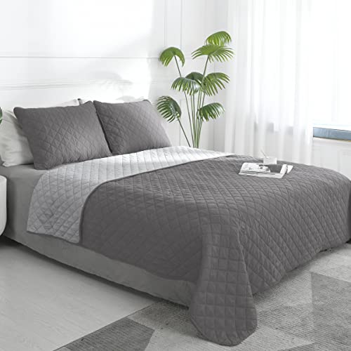 Easy-Going Full/Queen Size Reversible Quilt Set with 1 Quilt and 2 Pillow Shams, Soft Bed Quilt Cover, Lightweight Microfiber Bedspread, Water and Stain Resistant, Gray/Light Gray