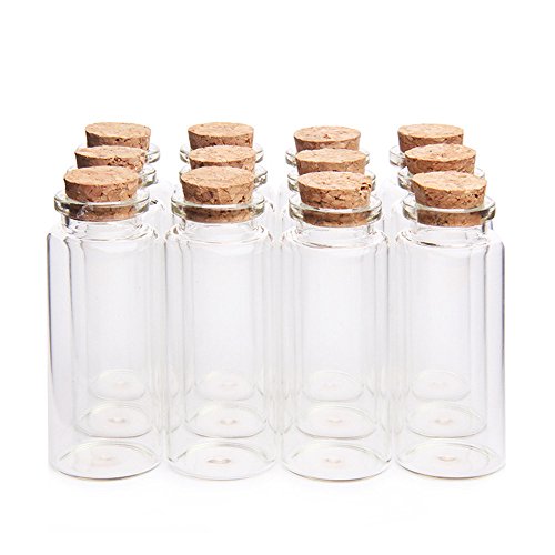 Danmu 30ml 1.18' x 2.75' Mini/ Tiny Glass Jars with Wood Cork Stoppers, Wishing/ Message Bottle for Halloween Decorations, Wedding/ Baby Shower Favors(12Pcs)