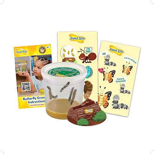 Insect Lore Cup of Caterpillars - Butterfly Kit Refill - Life Science & STEM Education