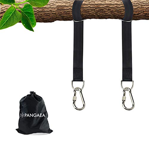 Tree Swing Hanging Straps Kit, Heavy Duty Holds 2200LBS 5FT Extra Long, with Safer Lock Snap Carabiners & Carry Pouch Bag