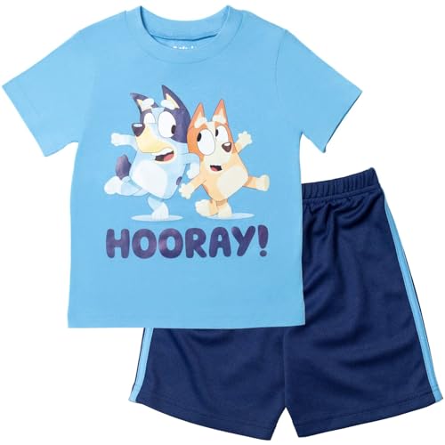 Bluey Bingo Toddler Boys T-Shirt and Mesh Shorts Outfit Set 2T