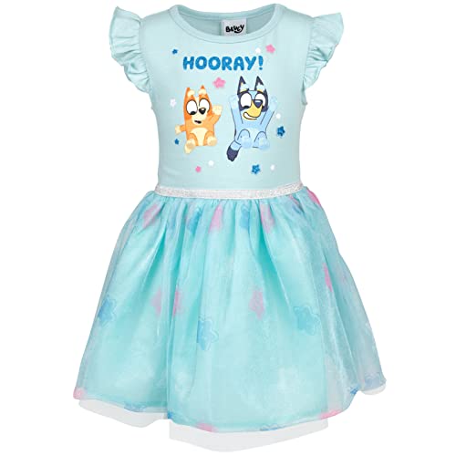 Bluey Bingo Toddler Girls Dress 5T Blue