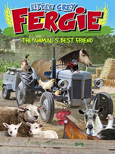 Little Grey Fergie: The Animal's Best Friend