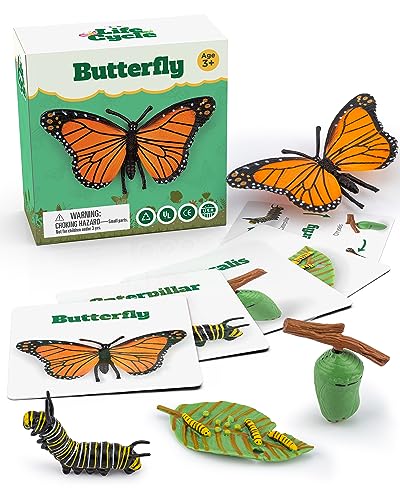 Life Cycle Kit Toy Science Montessori - Realistic Figurine, Kids Animal Match Set Easter Basket Stuffers for Boys and Girls Age 3,4,5,6,7,8,9 (Life Cycle - Butterfly)