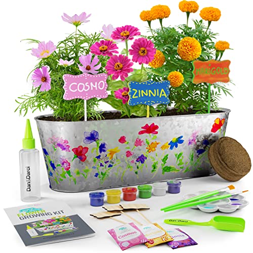 Paint & Plant Flower Growing Kit for Kids - Best Birthday Crafts Gifts for Girls & Boys Age 5 6 7 8-12 Year Old Girl Gift Ideas - Fun Children Gardening Kits, Art Projects Toys for Ages 5-12 Years