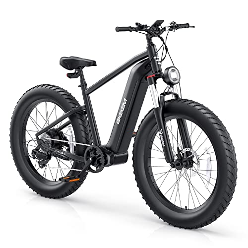 UDON BEEMONE Electric Bike for Adults, 1000w Brushless Motor Ebike, 26' x 4.0 Fat Tire, Electric Bikes with 48V/20Ah Removable Battery, 30-80Miles, 28MPH, 7 Speed