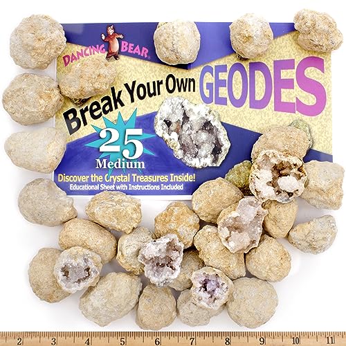 DANCING BEAR 25 Break Your Own Geodes, (Medium 1-1.5') 90% Hollow, Crack Open & Discover Amazing Surprise Crystals Inside! Educational Info and Instructions Included, Fun Party Favors & Prizes