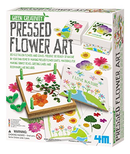 10 Best Flower Press Kits for Kids